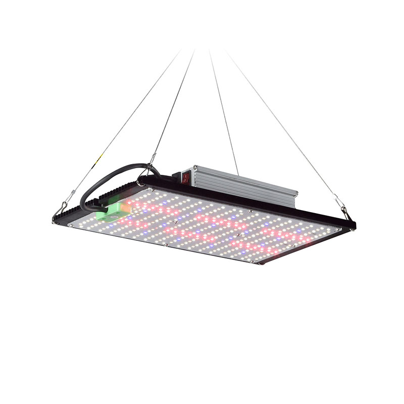 Grow Light Led - LED Kuantum Panel Bitki Yetiştirme Lambası