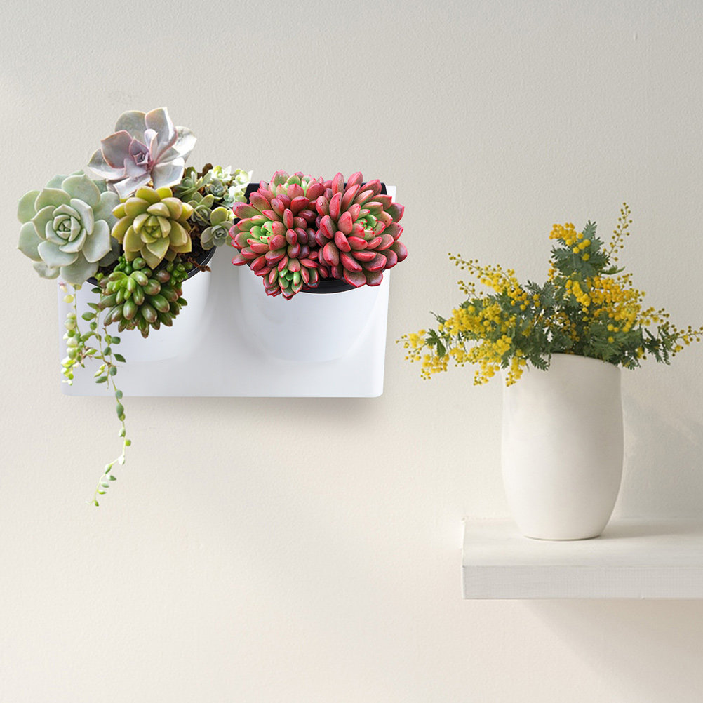 Self Watering Planter - Kendi Kendine Sulanan Çiçek Saksısı Plastik