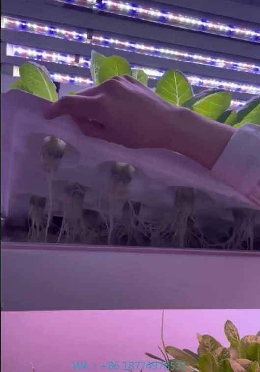 Hydroponic Tower - Sera Tarım Ekipmanları Mantar Sebze Meyve