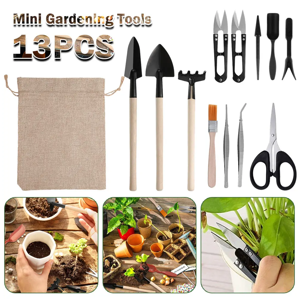 Indoor Garden Kit - Kapalı bitki için 13 adet etli