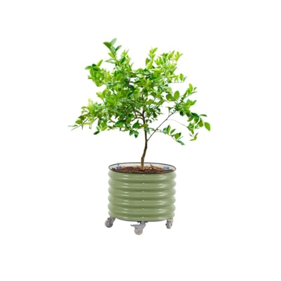 Self Watering Planter - Gen 3 Model, Kendiliğinden Sulanan, 24