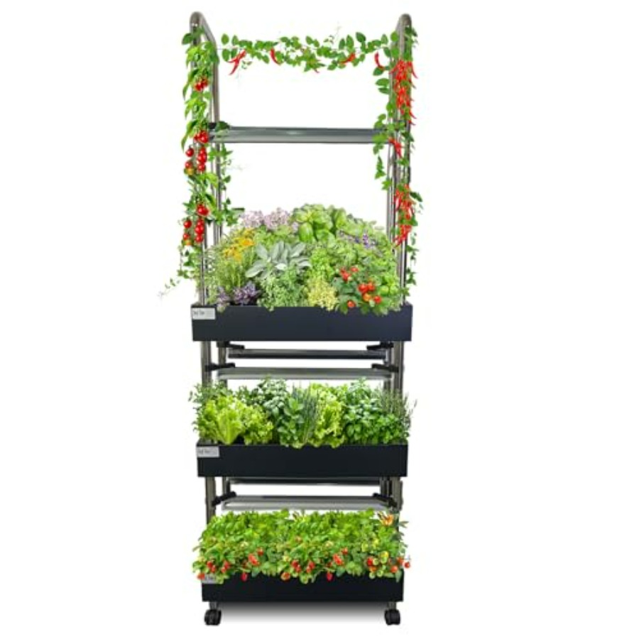 Smart Garden System - İç mekan hidroponik yetiştirme sistemi: akıllı