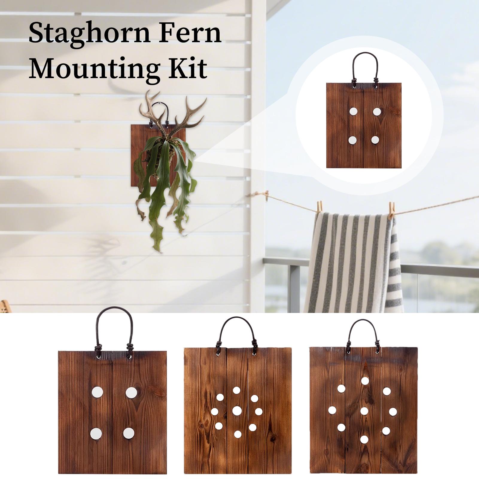 Indoor Garden Kit - Staghorn Fern Duvar Montaj Paneli Ahşap