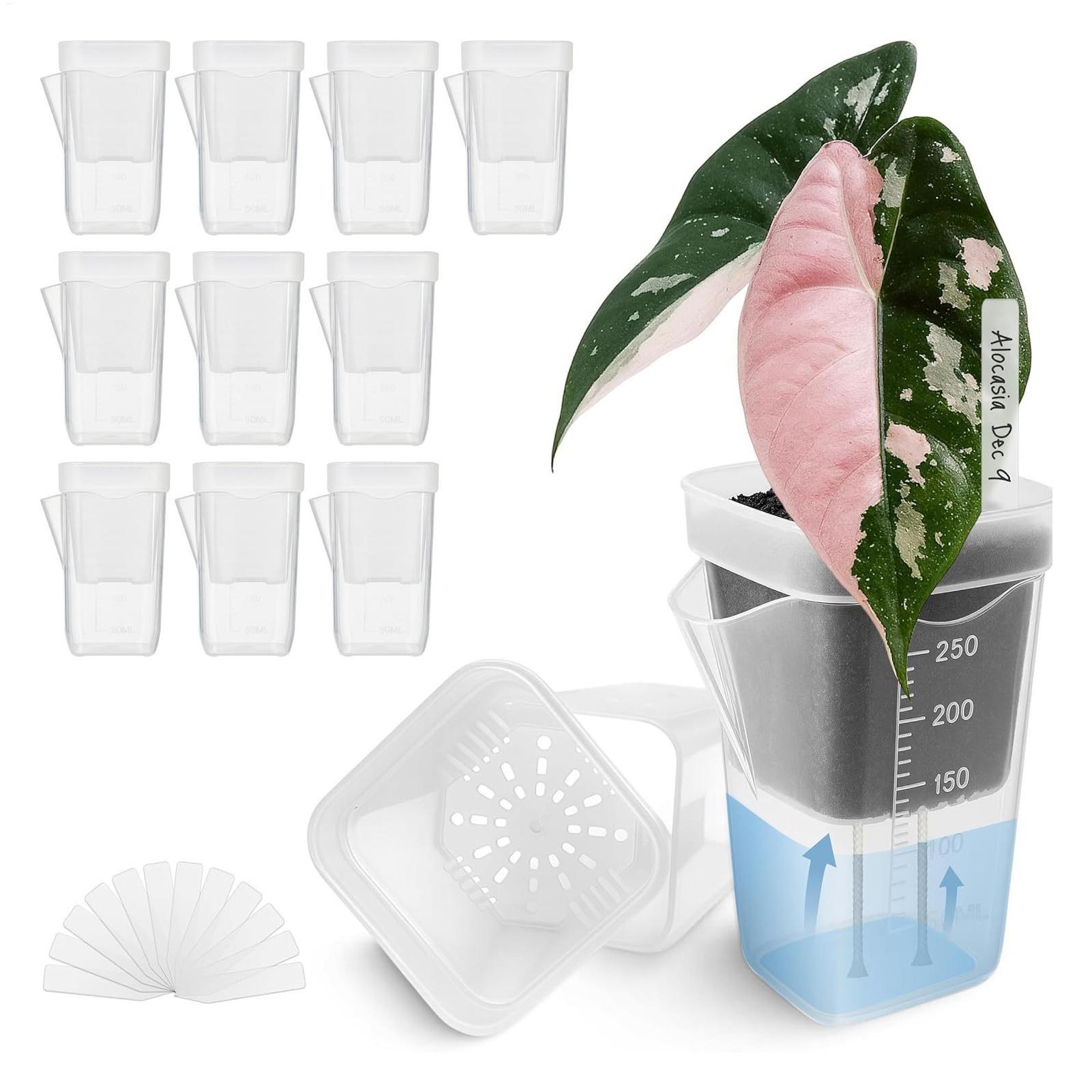 10 adet kapalı bitki saksısı ş - Hydroponic Grow Pod incelemesi ve fiyatı