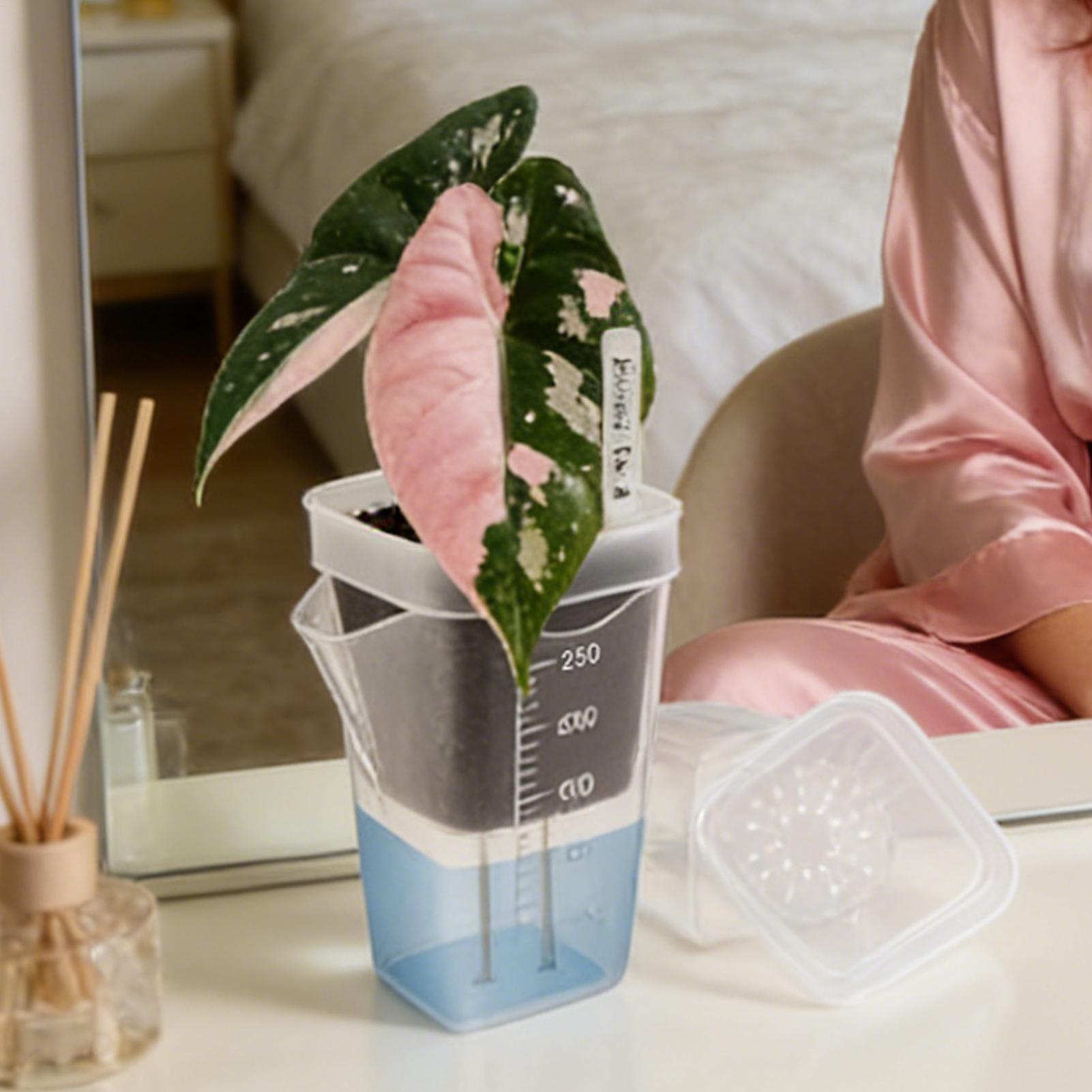 10 adet kapalı bitki saksısı ş - Hydroponic Grow Pod incelemesi ve fiyatı