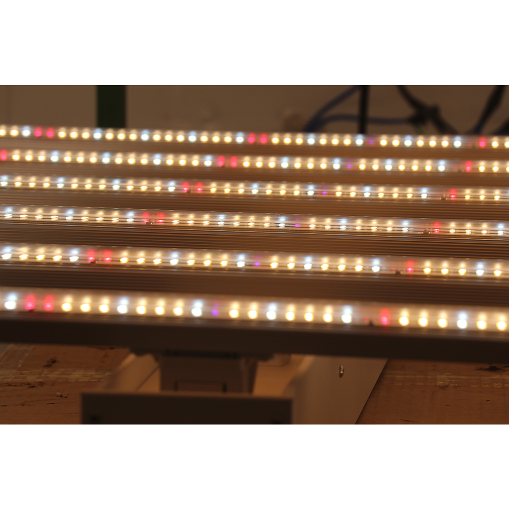 2023 Fabrika Direkt Satış 600w - Grow Light Led incelemesi ve fiyatı