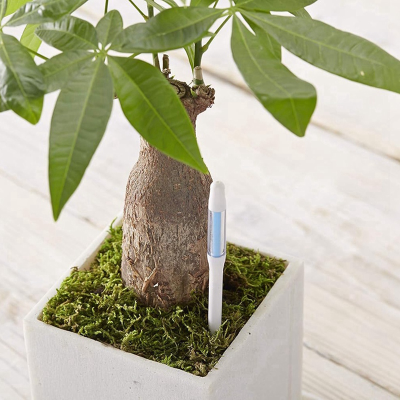 Aquameter, 5 adet, Bitki Topra - Plant Sensor incelemesi ve fiyatı