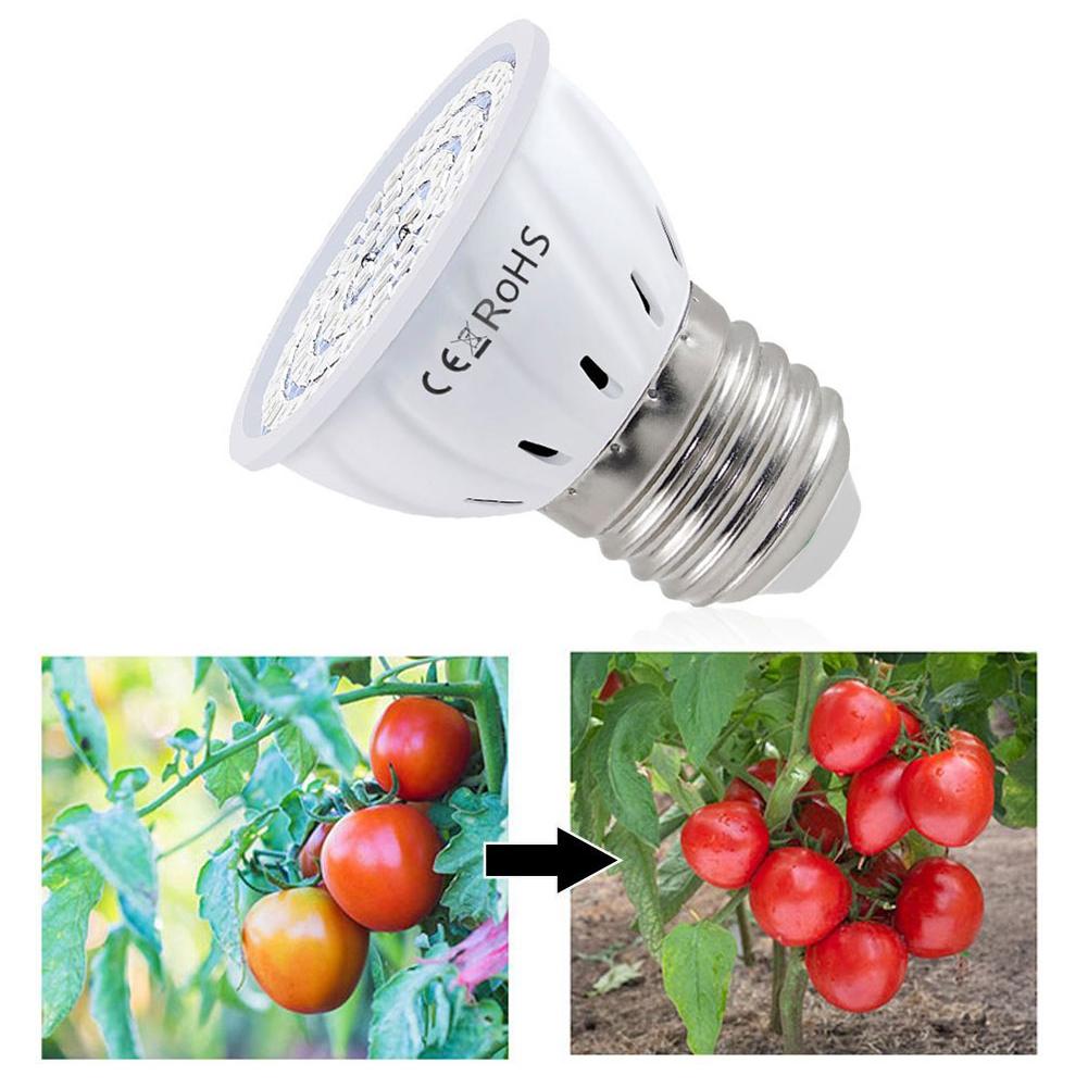 LED Büyüme Ampulü E27 60 80LED - Plant Grow Light Full Spectrum incelemesi ve fiyatı