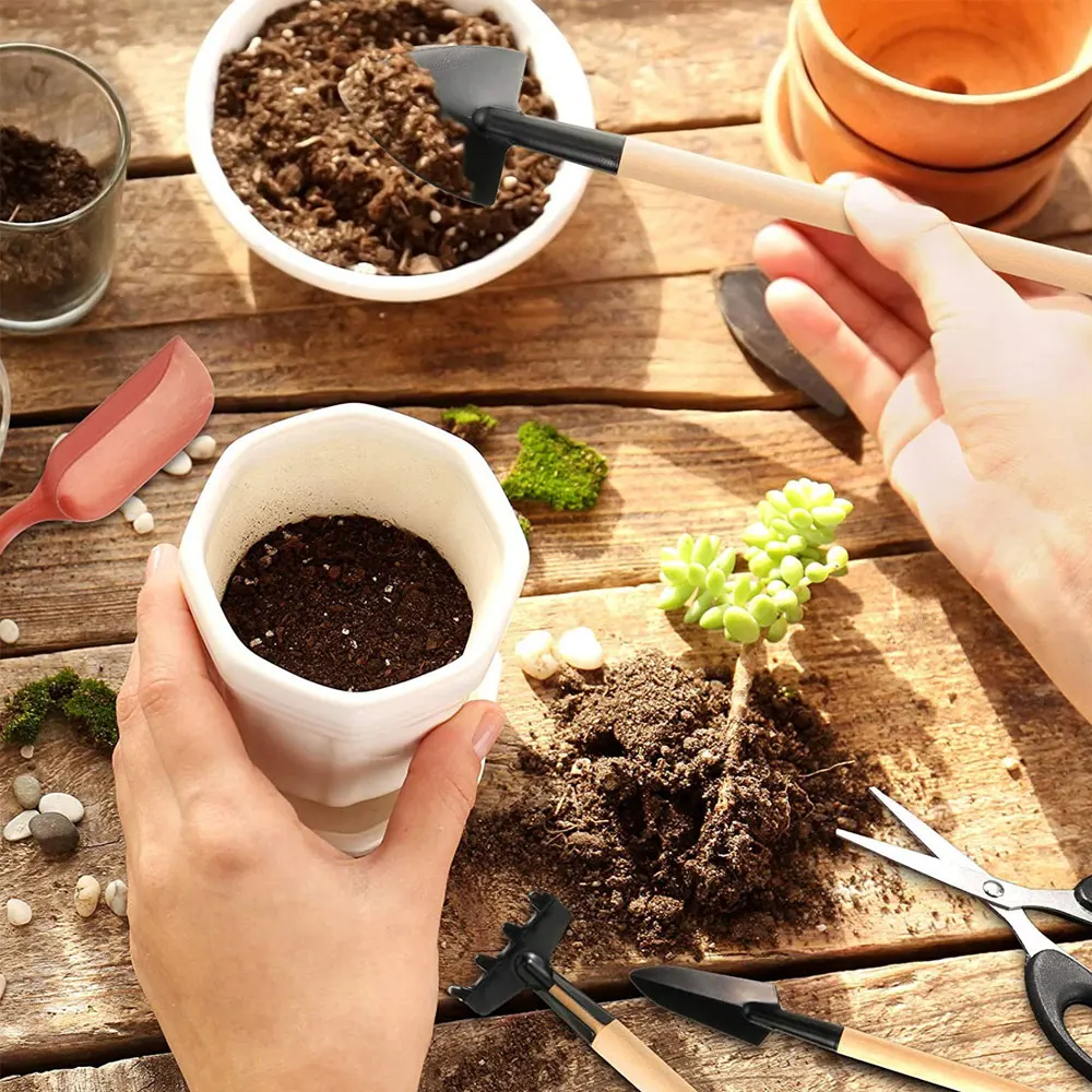 Kapalı bitki için 13 adet etli - Indoor Garden Kit incelemesi ve fiyatı