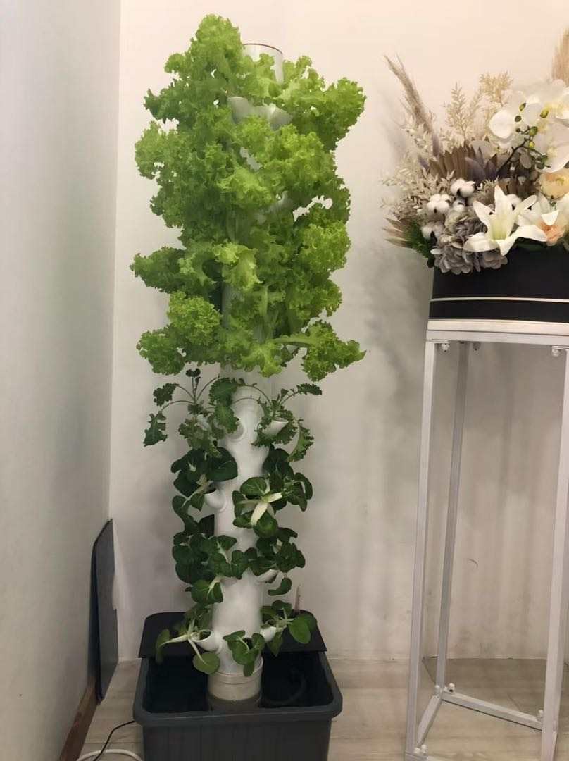 Dikey Hidroponik Yetiştirme Ku - Hydroponic Tower incelemesi ve fiyatı