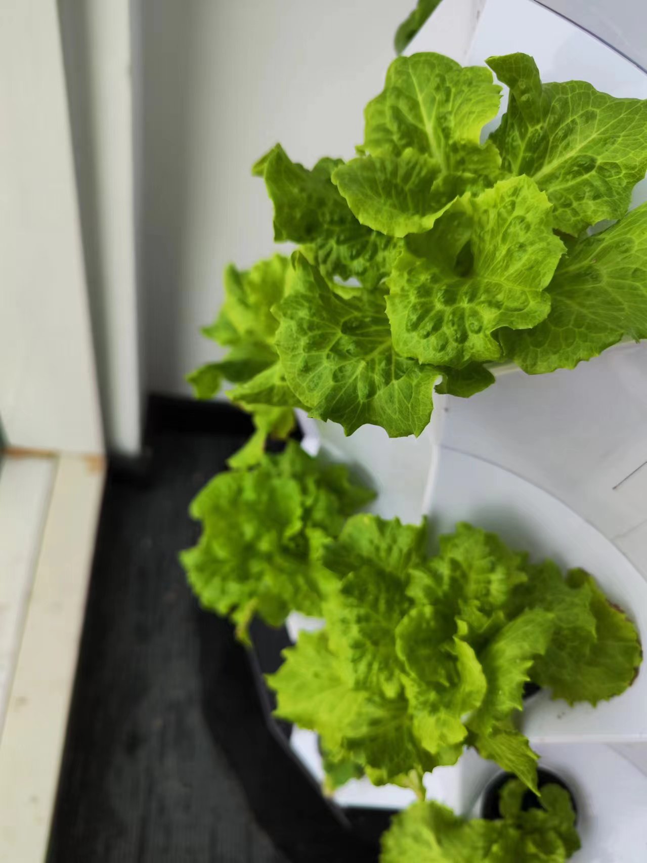 Çiftlik Otomatik Sulama Damla  - Hydroponic Tower incelemesi ve fiyatı