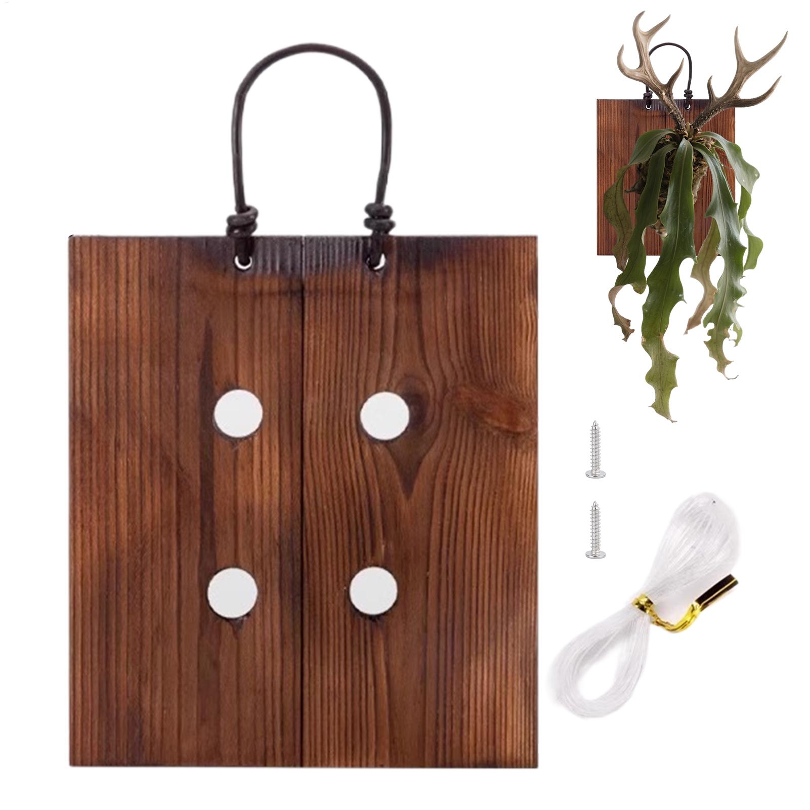 Staghorn Fern Duvar Montaj Pan - Indoor Garden Kit incelemesi ve fiyatı