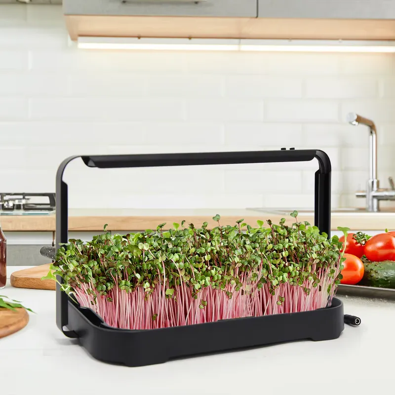 Hidroponik Tepsi İç Mekan Mikr - Smart Garden System incelemesi ve fiyatı